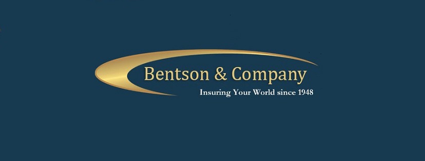 Bentson & Company Icon