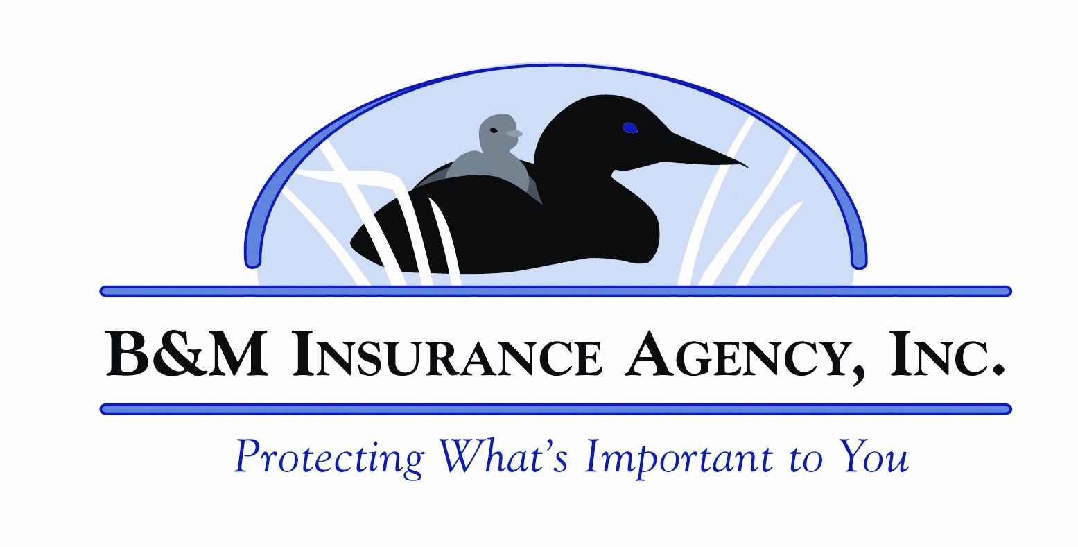 B & M Insurance Agency, Inc. Icon