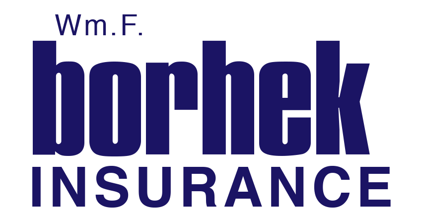 Wm.F Borhek Insurance Agency, Inc. Icon