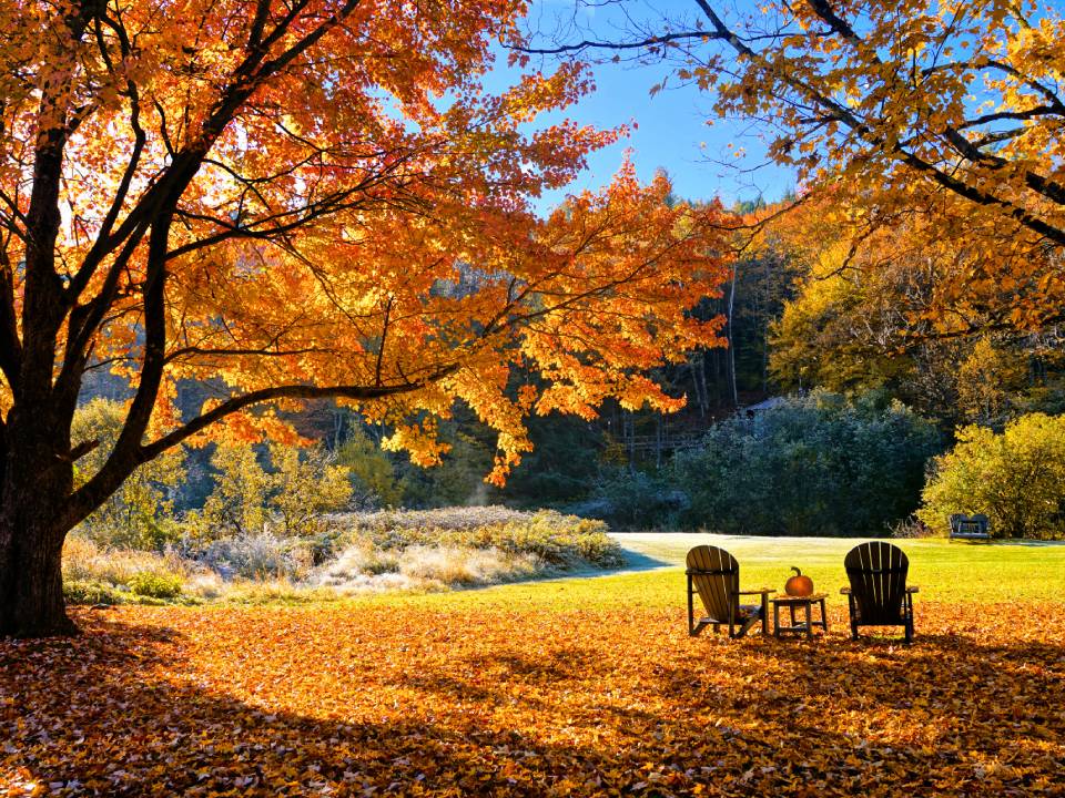 Image of a New England fall landscape