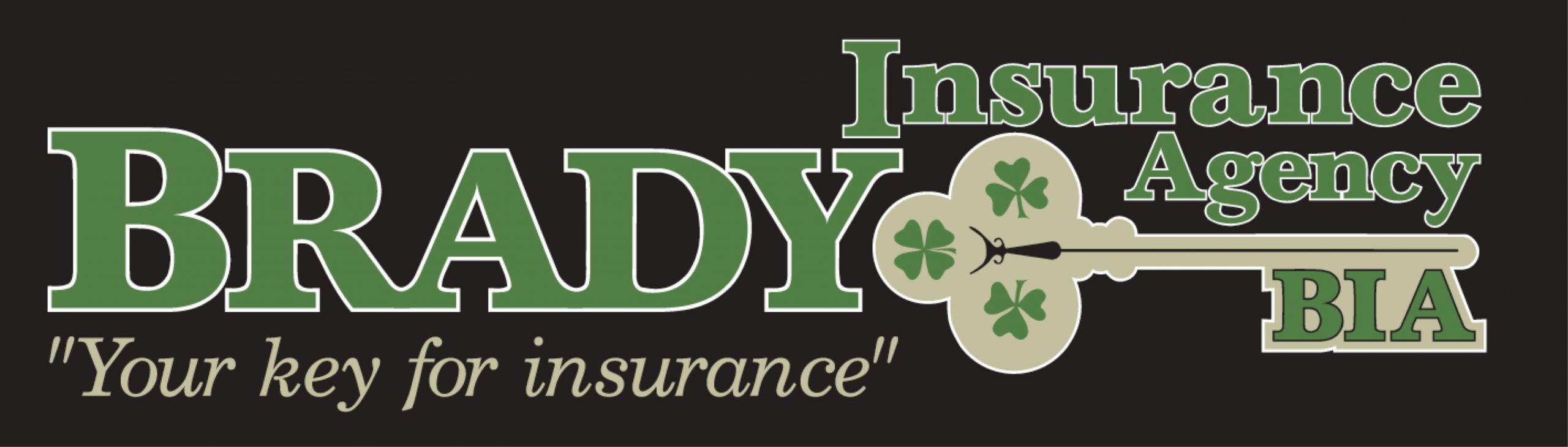 Brady Insurance Agency, LLC Icon