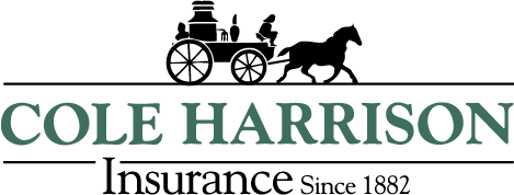 Cole Harrison Insurance Agency — Carrabassett Valley Icon
