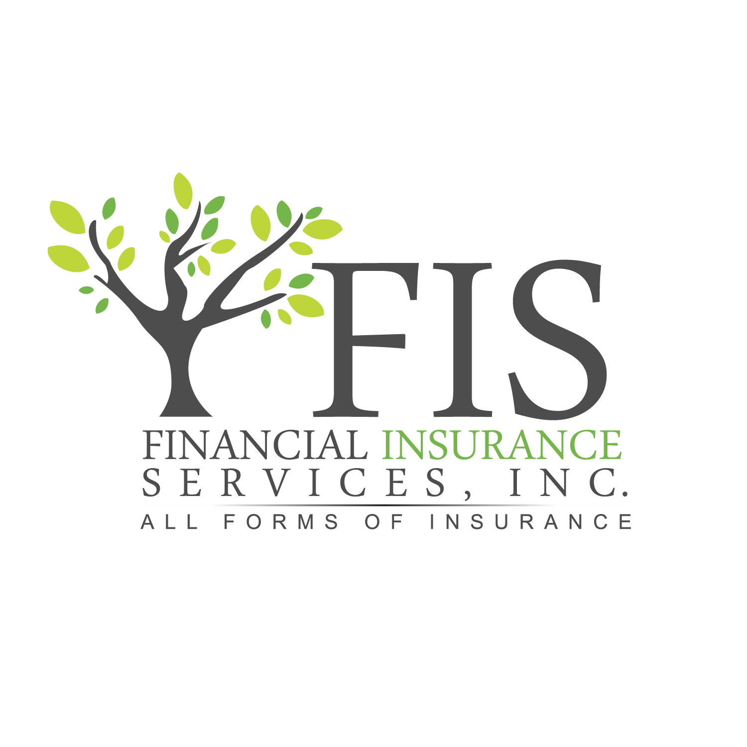 Financial Insurance Services, Inc. — Hudson Icon