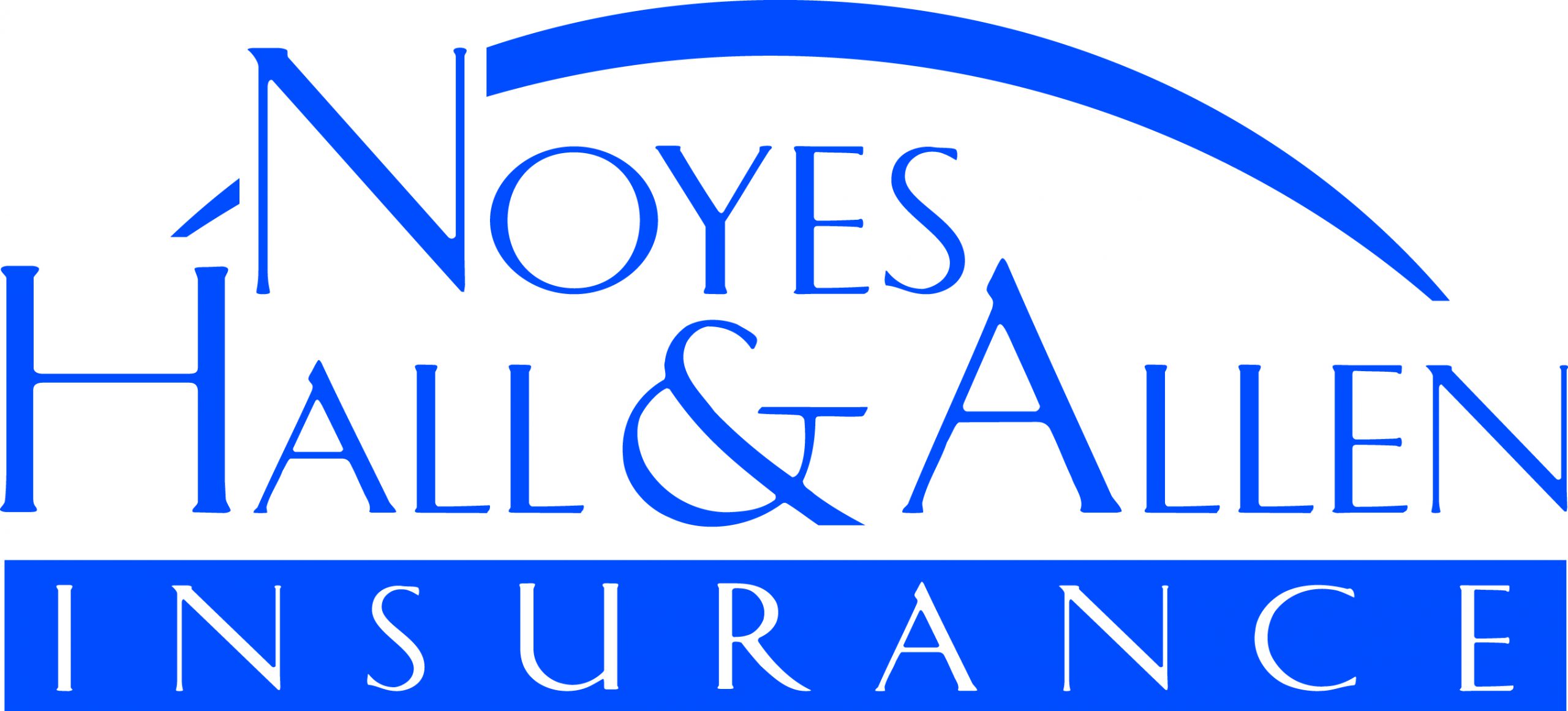Noyes Hall & Allen Insurance Icon