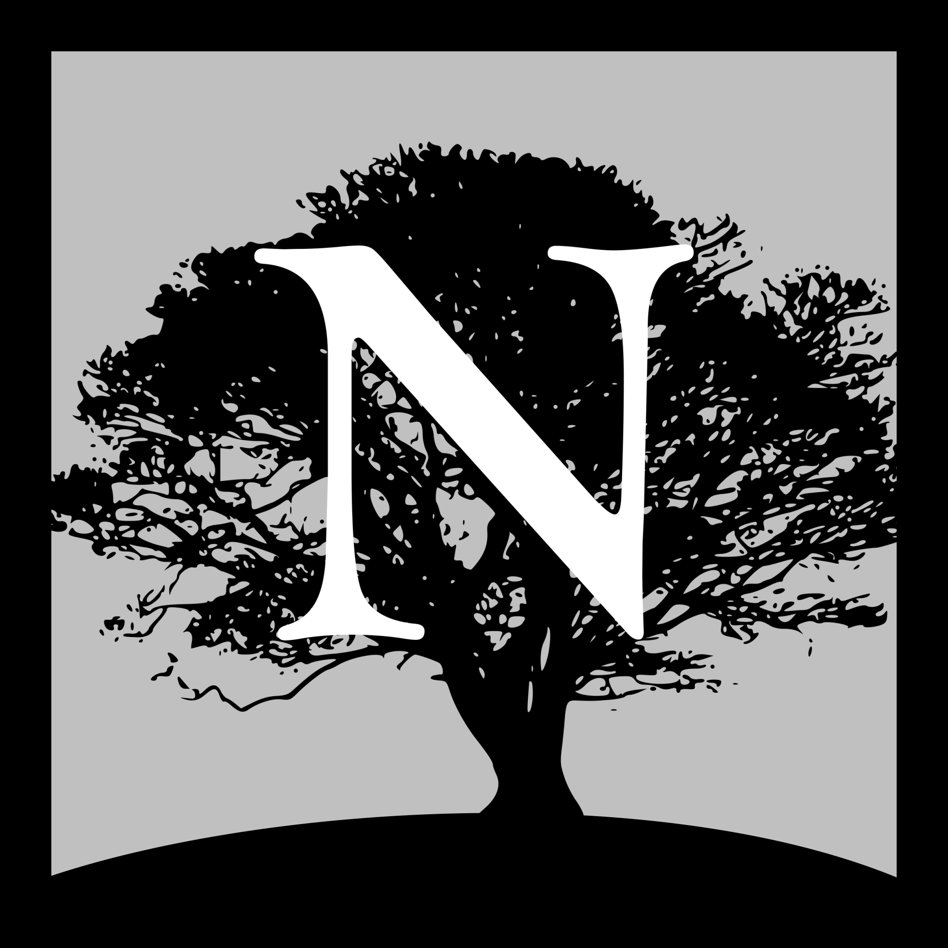 Patriot Growth Insurance Services, LLC — Canaan Icon