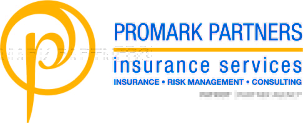 Promark Partners Insurance Services — Buffalo Icon