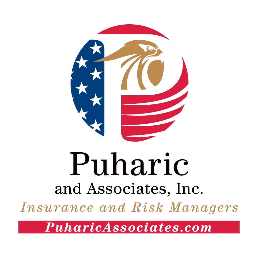 Puharic and Associates, Inc. Icon