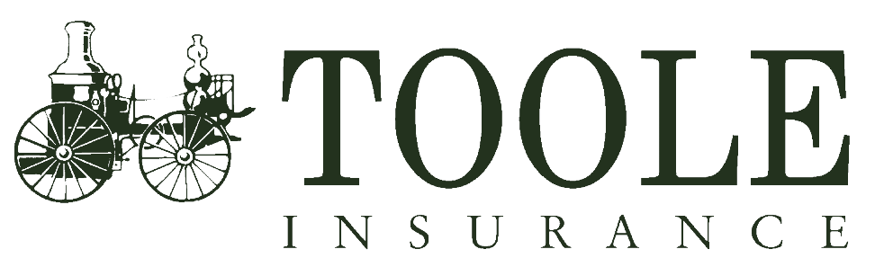 L.V. Toole Insurance Agency Icon