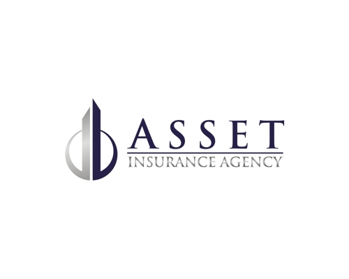 Asset Insurance Agency, LLC Icon